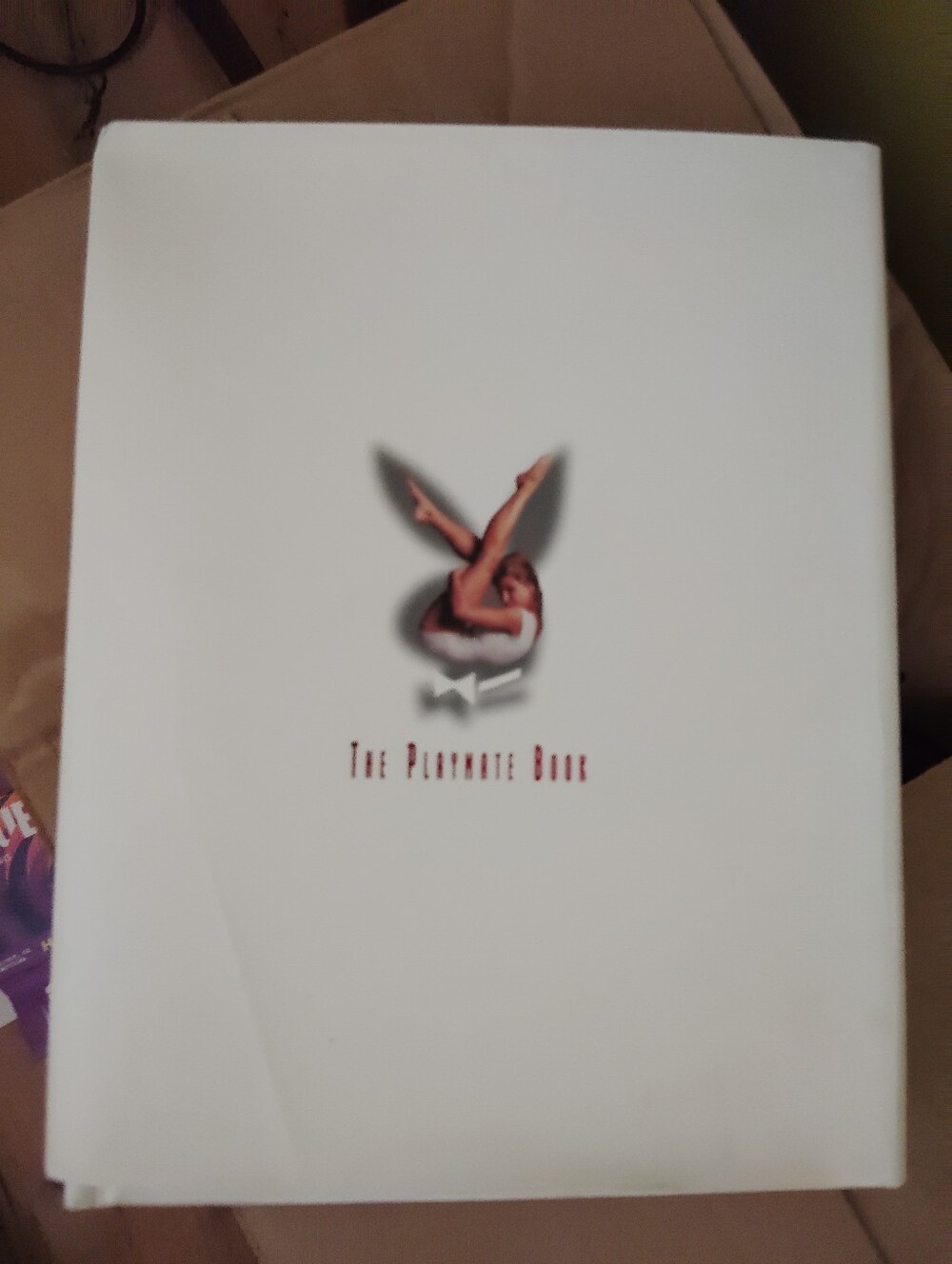 The Playmate Book Vintage Playboy Large Hardcover Collectible Book White Y2K